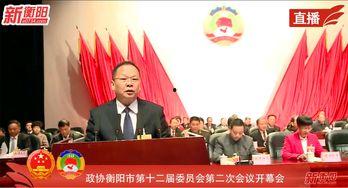 衡阳最新爆料新闻直播,直播揭露惊人内幕，真相令人震惊！