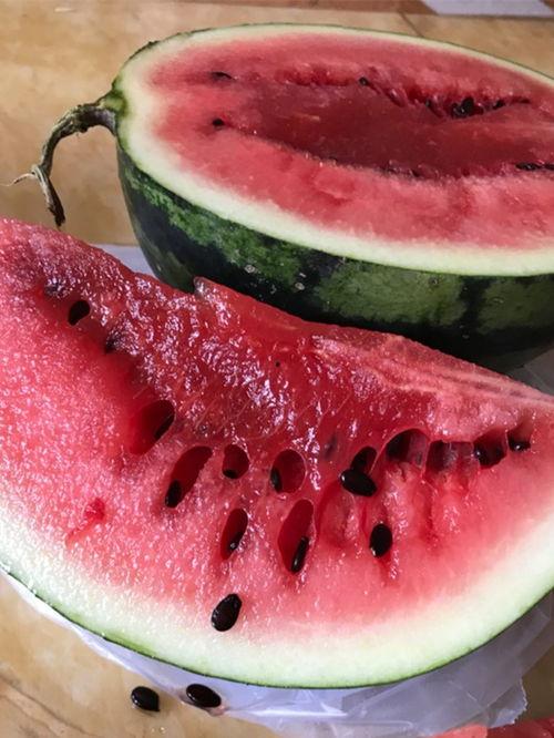 西昌的瓜最新爆料,揭秘最新瓜种传奇 第1张 西昌的瓜最新爆料,揭秘最新瓜种传奇 第1张