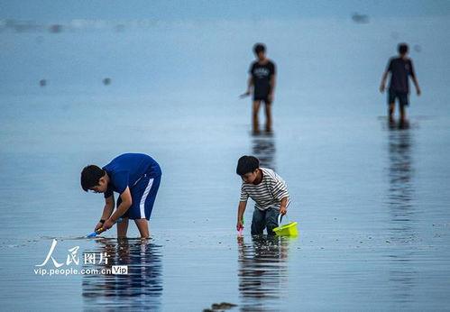 海南赶海爆料视频大全,揭秘海洋宝藏的奇妙之旅 第3张 海南赶海爆料视频大全,揭秘海洋宝藏的奇妙之旅 第3张