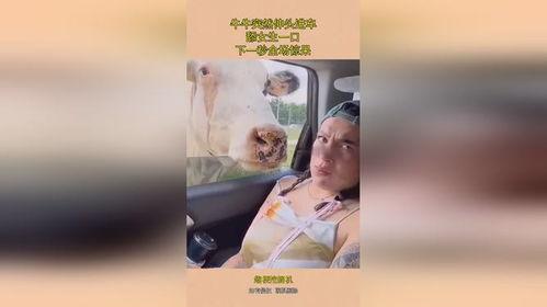 舔下面的在线观看,揭秘都市情感纠葛 第1张 舔下面的在线观看,揭秘都市情感纠葛 第1张